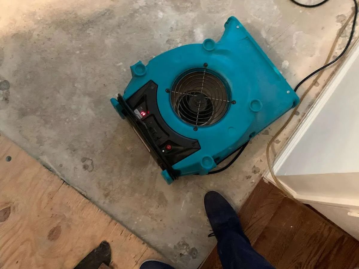 Air mover drying subfloor during Leak Detection & Repair in Lindon